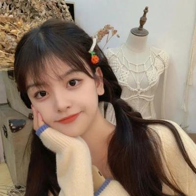 蚊子海岸