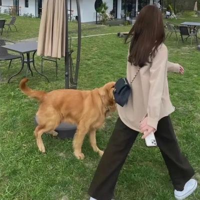 我不是坏女孩